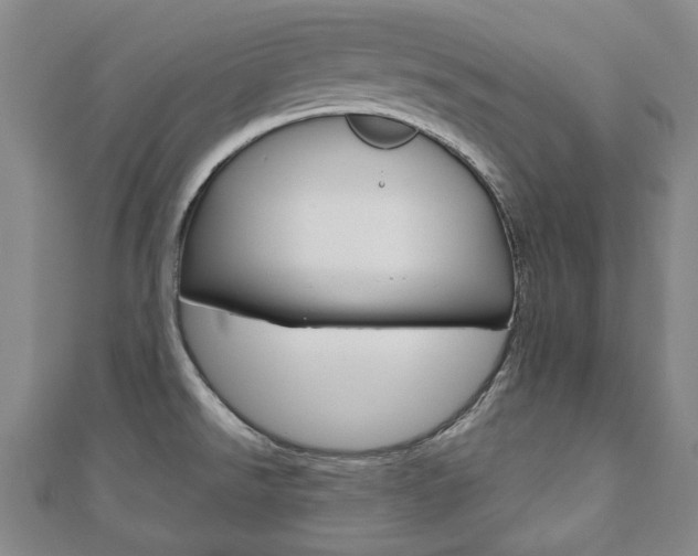 X0000110881526200906180934