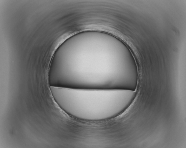 X0000110881529200906180934