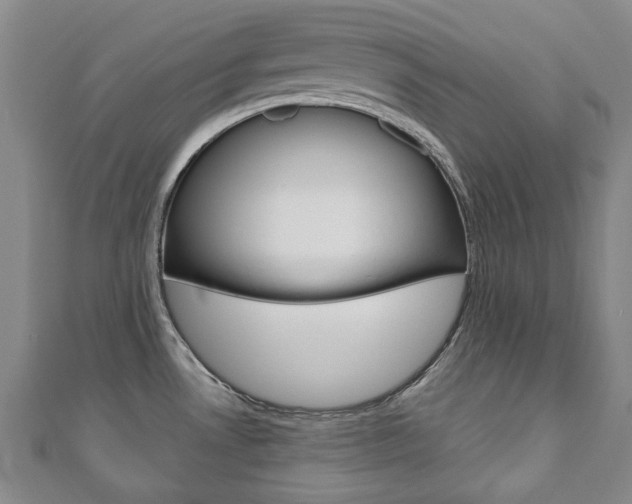 X0000110881530200906180934