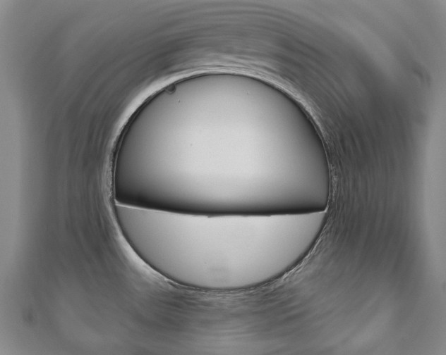 X0000110881531200906180934