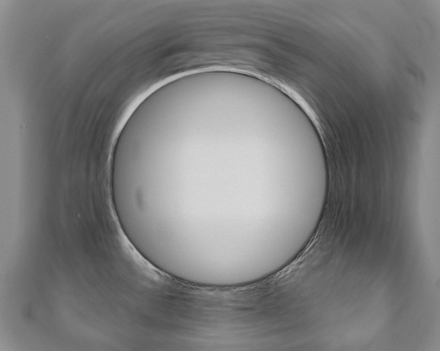 X0000110881532200906180934