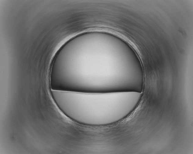 X0000110881533200906180934