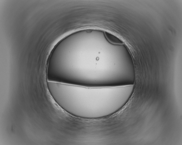 X0000110881534200906180934