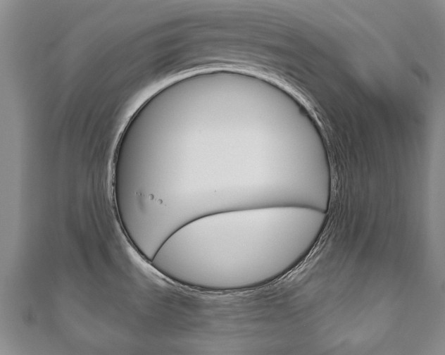 X0000110881535200906180934