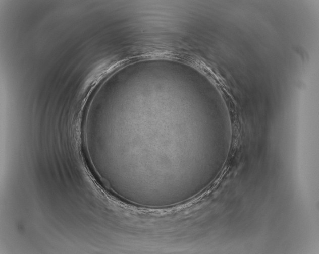 X0000110880002200906181235