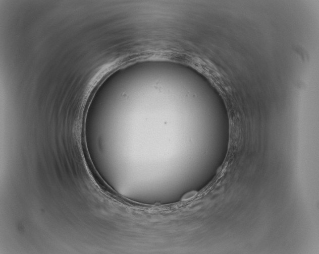 X0000110880003200906181235