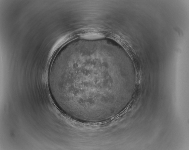 X0000110880004200906181235