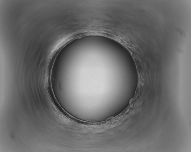 X0000110880005200906181235