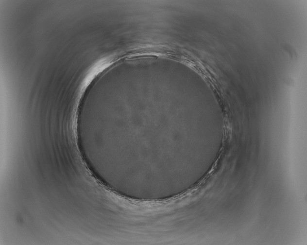 X0000110880006200906181235