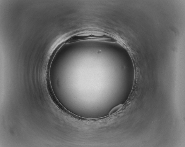 X0000110880007200906181235