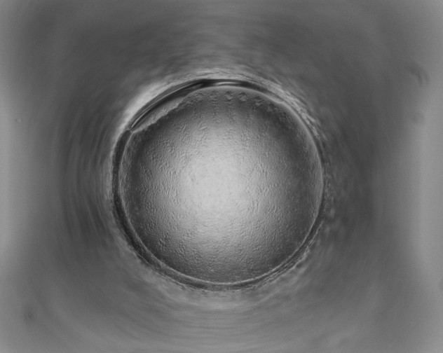 X0000110880008200906181235