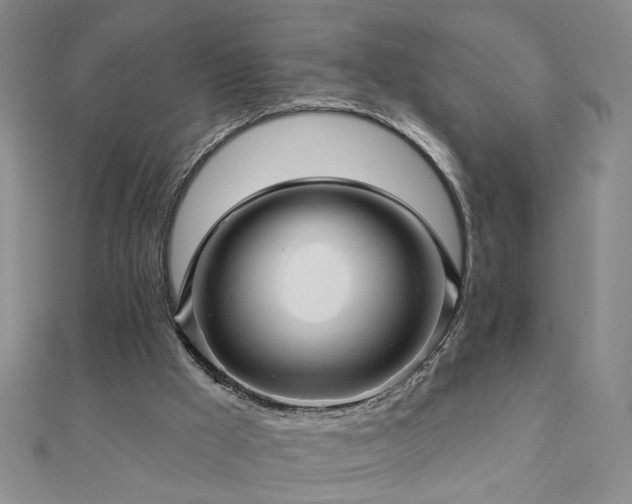 X0000110880009200906181235