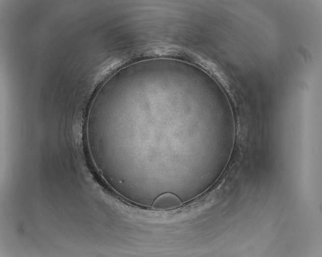 X0000110880010200906181235