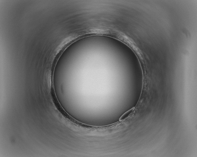 X0000110880011200906181235
