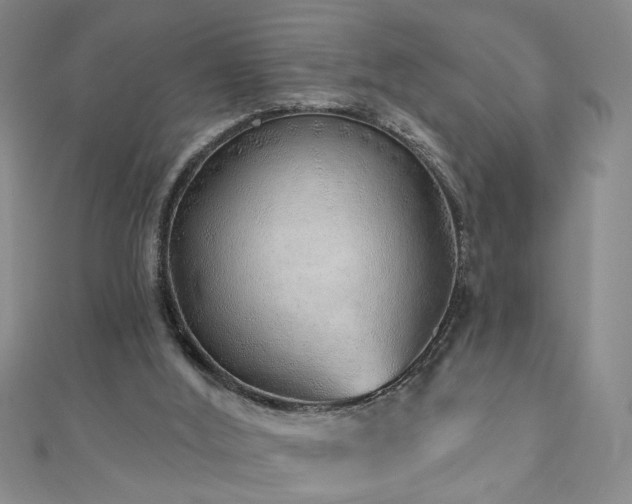 X0000110880012200906181235