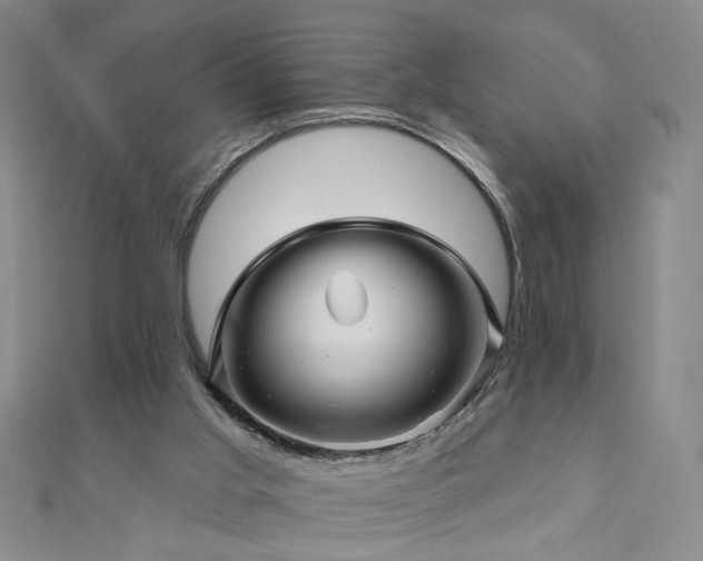 X0000110880013200906181235