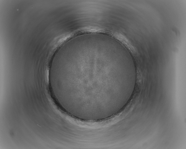 X0000110880014200906181235