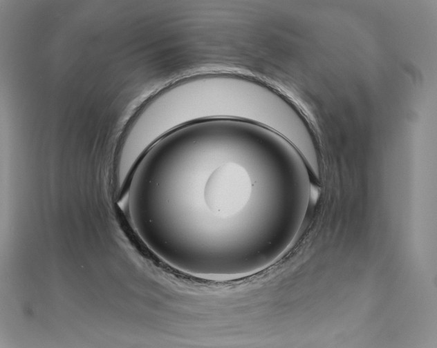 X0000110880015200906181235