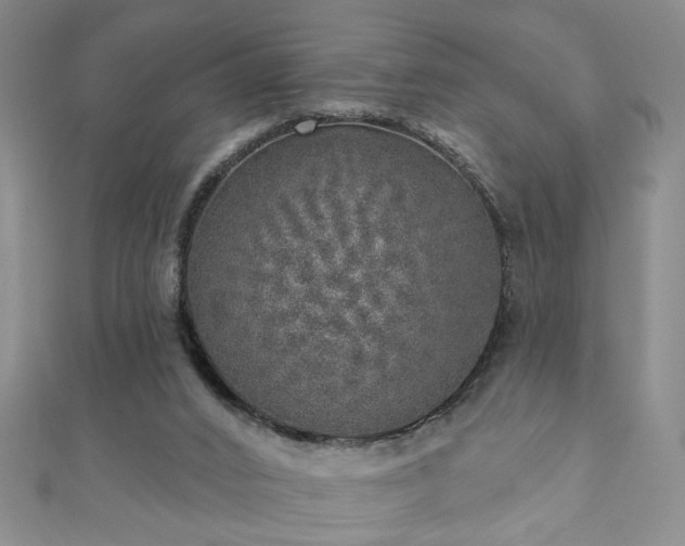 X0000110880016200906181235
