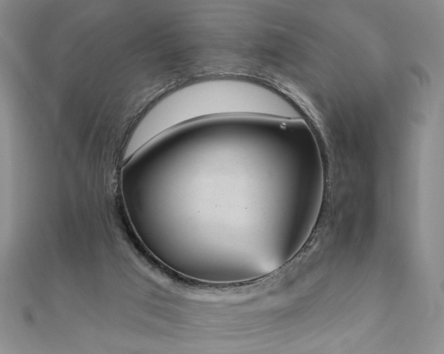 X0000110880017200906181235
