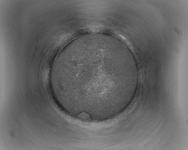 X0000110880018200906181235