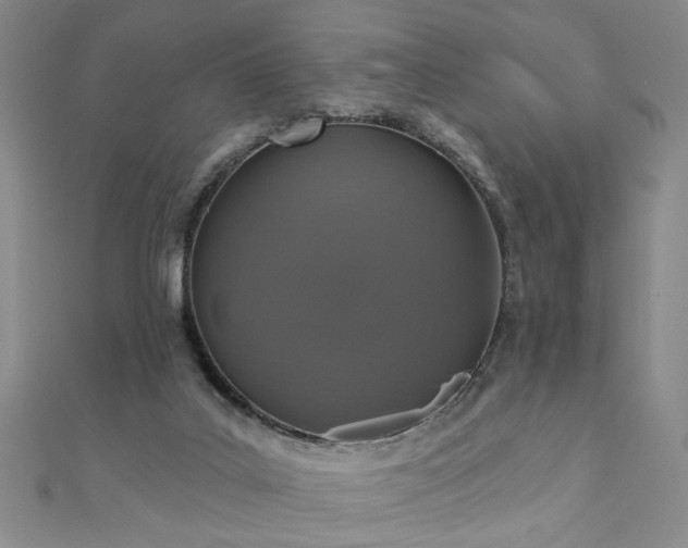 X0000110880019200906181235