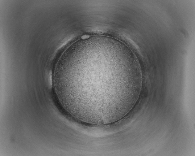 X0000110880020200906181235