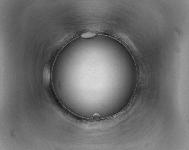 X0000110880021200906181235
