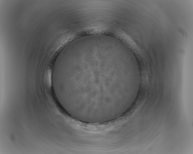 X0000110880022200906181235
