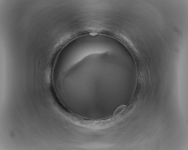 X0000110880023200906181235