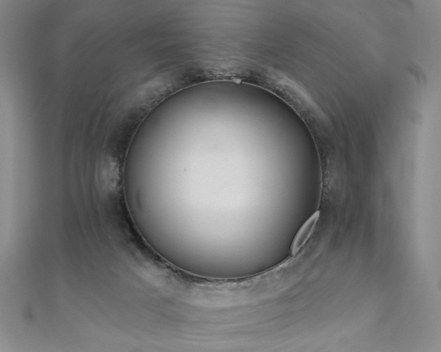 X0000110880025200906181235