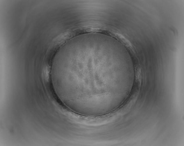X0000110880026200906181235