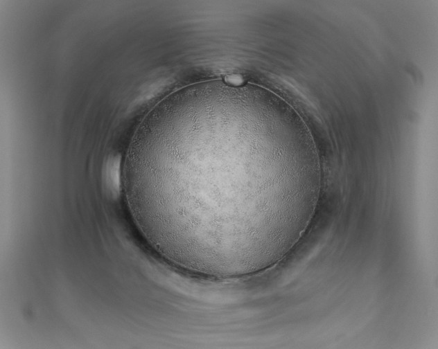 X0000110880028200906181235