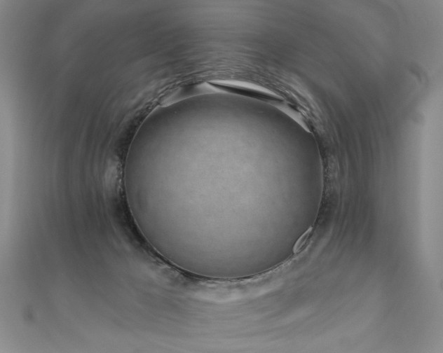 X0000110880029200906181234