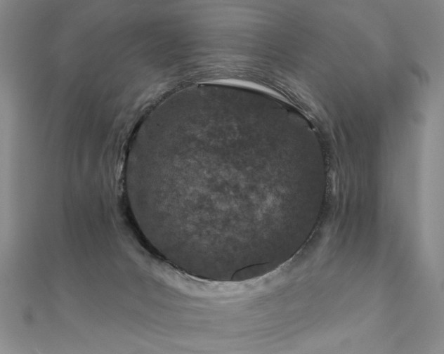 X0000110880031200906181234