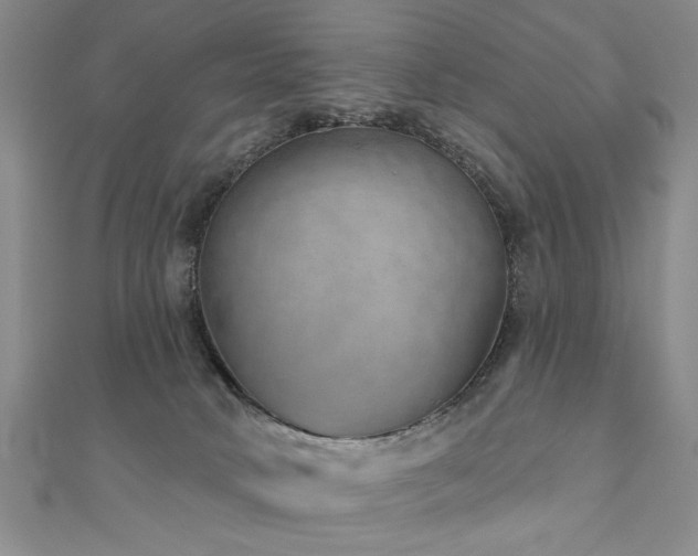 X0000110880034200906181234