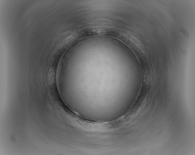 X0000110880036200906181234