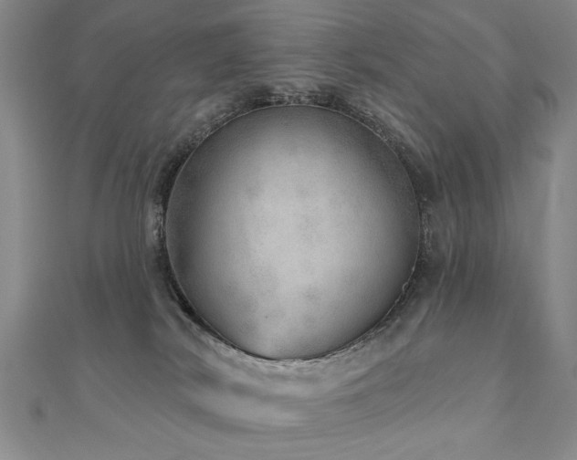 X0000110880038200906181234