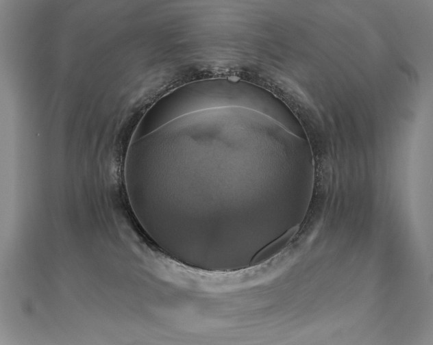 X0000110880039200906181234