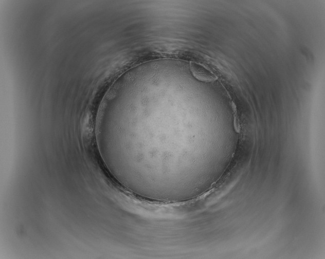 X0000110880040200906181234
