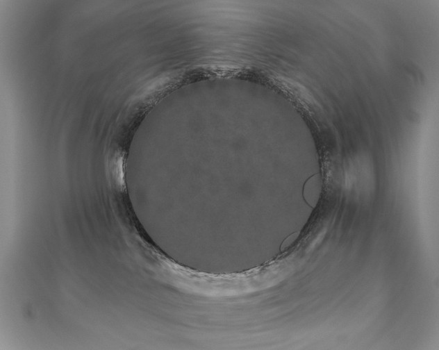 X0000110880042200906181234