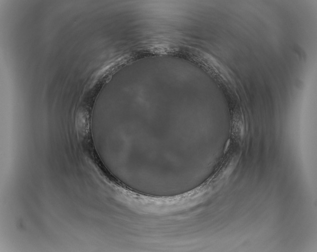 X0000110880043200906181234