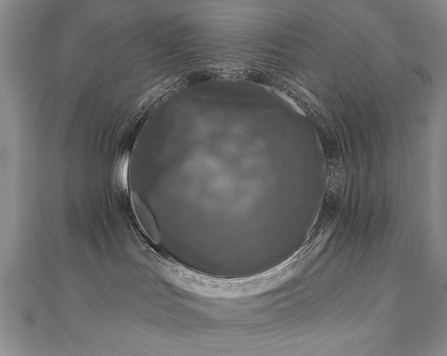 X0000110880047200906181234