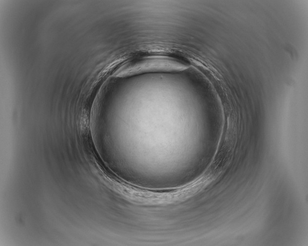 X0000110880048200906181234