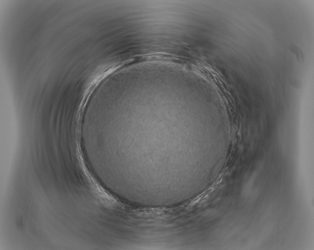 X0000110880049200906181233