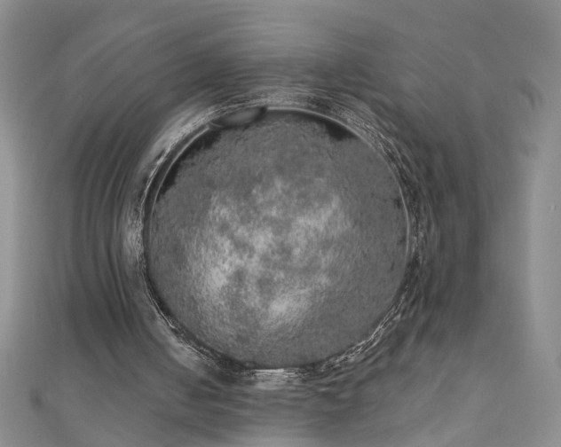 X0000110880050200906181233