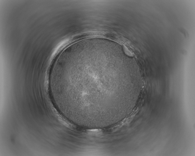X0000110880053200906181234