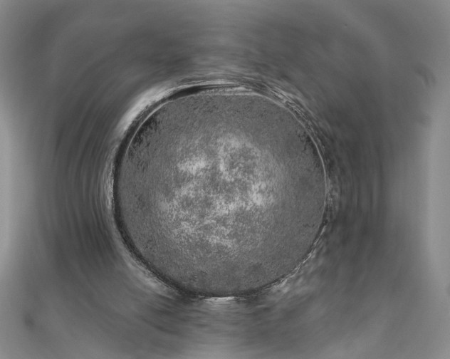 X0000110880054200906181234
