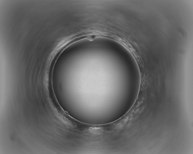 X0000110880055200906181234