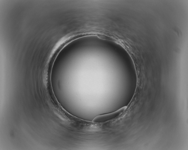 X0000110880056200906181234